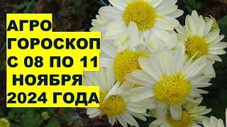 Что случится с 8 по 11 ноября 2024? Ожидайте неожиданного!