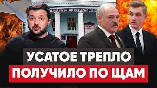 Лукашенко предложил бомбить Мозырь. Гайдукевич и Канапацкая хотят в Европу. Во всём виноват Коля!