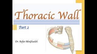 Anatomy of Thoracic Wall Part- 2 (Full Lecture)