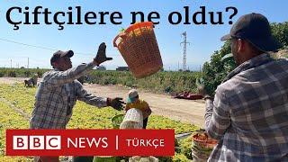 Türkiye'nin çiftçisine ne oldu? | Konya, Manisa ve Ordu'dan izlenimler