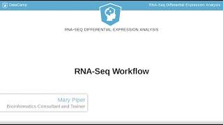 R Tutorial : RNA-Seq Workflow