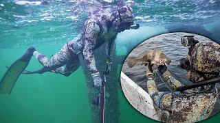 Spearfishing Shallow Oil Rigs for Black Drum, Mangrove Snapper & Sheepshead from the Panga! CC&C