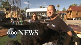 Inside Zappos CEO's Wild, Wonderful Life