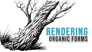 Rendering Organic Forms | Line Art Style | Tutorial