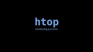 Linux How To Monitor System Processes Using HTOP