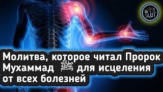  ДУА от Любой Боли и Болезней на Теле Человека.Положи руку и Читай молитву поможет Ин Ща АЛЛАХ!!!