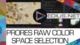 EDIUS.NET Podcast - ProRes RAW color space selection