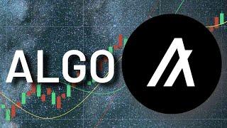 ALGO time to buy the Bottom!?? Bull Market top & Analysis! #algorand #crypto #priceprediction