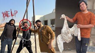 Mamu Ko Bht Mara Kidnapper Ny  Duck Ka Qatil Kon ?