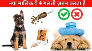 4 mistake Every dog owner make / 4 गलतियाँ जो हर dog ओनर करते है