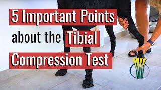 5 Important Points about the Tibial Compression Test