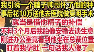 我引诱一个瞎子帅哥怀了他的种，事后花10万送他去医院做复明手术，就当是借他精子的补偿。不料3个月后我胎像安稳去谈生意，刚进办公室竟看到他坐在总裁位置！盯着我孕肚 一句话我人傻了！