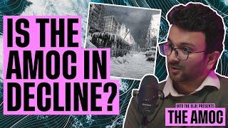 Could the AMOC COLLAPSE? Consequences and Misconceptions | Into the Blue Presents: The AMOC (EP3)