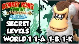 Donkey Kong Country Tropical Freeze - World 1 Secret Levels: 1-A, 1-B, 1-K (1080p Wii U HD)