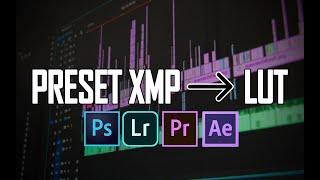 Convert Preset [XMP] to LUT [CUBE] #CONVERT #xmp #lut