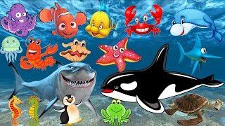 Pelajari nama dan suara hewan laut | Animasi gambar binatang untuk anak-anak: lumba-lumba, hiu, paus