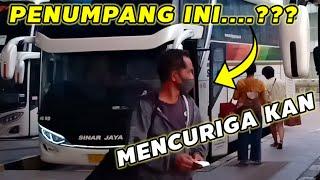 MENCURIGA KAN || GAK TAU NYA PENUMPANG YANG BINGUNG BARU pertama naik dari pulo gebang