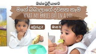 මගේ බබාලාගේ දවසක කෑම | baby and toddler meal prep | sinhala | Life in Australia