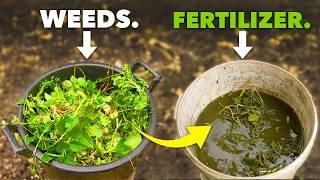 Better than Miracle Gro: Make Fertilizer from Weeds