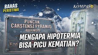 "Angkernya" Carstensz, Puncak Gunung Bersalju di Wilayah Tropis Indonesia