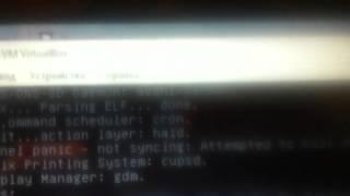 kernel panic antix virtual box reboot bug fitcher??