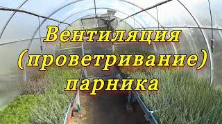 Проветривание парника - обязательная процедура.