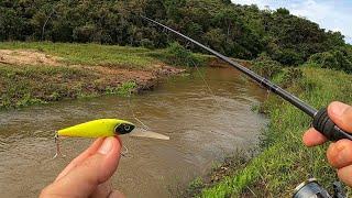 CONHEÇA A DEEP SHAD, a nova isca da da Yara que pega tudo.