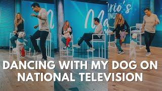 Dancing with my dog on Access Hollywood with Mario Lopez