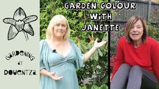 Using Colour in the Garden with Janette from  @TheEnthusiasticGardener