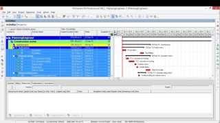 Import Cost from excel to primavera 6