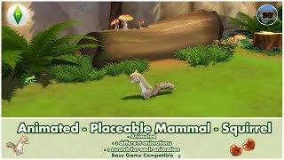 Bakies The Sims 4 Custom Content: Animated - Placeable Mammal - Squirrel ️