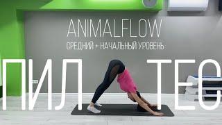 Динамичный ПИЛАТЕС. Тренировка на все тело БЕЗ прыжков. Animal flow. FITLIFE