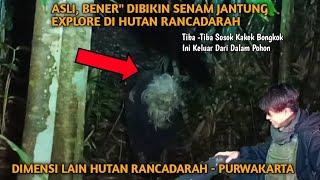 Asli Kaget... Ada Kakek Bongkok Keluar Dari Dalam Pohon,,, Disangka Manusia Ternyata Dia Adalah....