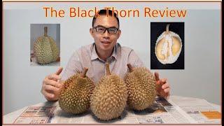 Black Thorn Durian Review