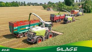 SILAGE SEASON  | Best of 2021 | AgroNord