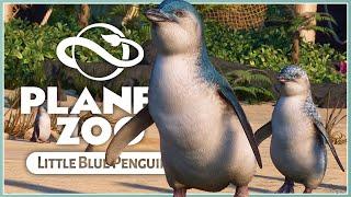 New Little Blue Penguin! | Planet Zoo Oceania Pack | Screenshot Reveals