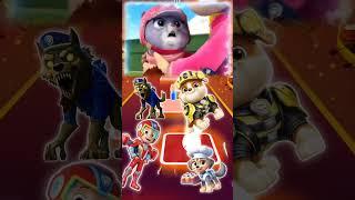 PAW Patrol Sky Transformation x Coffin Dance | Tiles Hop #musicgame  #coffindance  #tileshopsong