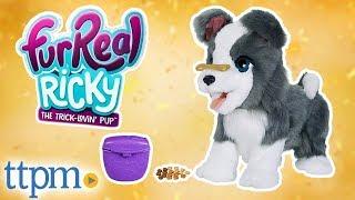 FurReal Ricky the Trick-Lovin' Pup [REVIEW] | Hasbro Toys & Games