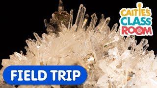 Explore Amazing Rocks and Minerals! | Caitie's Classroom Field Trip | Science & Colors For Kids