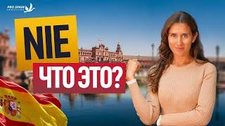 Как получить NIE в Испании? ЧТО ТАКОЕ NIE