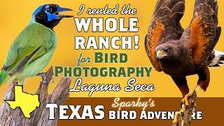 Texas Bird Photography: Laguna Seca Ranch: Part 2 Rio Grande Valley