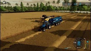 Old Kiwi Farm: Solo Series: Episode #1. Wheat Harvested & Stored + New Trucks Added!!! FS22 PS4.