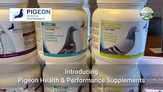 Pigeon Health & Performance Supplement Line