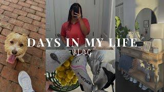 DAYS IN MY LIFE VLOG | shopping at home goods, decorating home, celebrating my boyfriends birthday