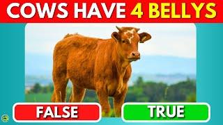 True Or False Animal Edition  