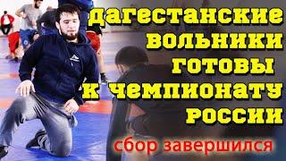 Дагестанские вольники завершили подготовку к чемпионату России