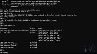 Configuring Cisco Trunk Ports