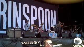 Grinspoon, Passerby & Run @ Adelaide Big Day Out 2013 HD