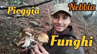 funghi tra nebbia e pioggia