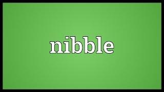 Nibble Meaning